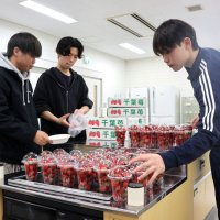 イチゴをパックに詰める学生