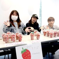 イチゴ栽培、課題解決へ　城西国際大生がプロジェクト　収穫協力、規格外を販売