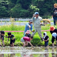 “米どころ”で田植え体験　市原・加茂　千葉県内外１００人挑戦