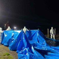 旭の豚熱、全５５３７頭の殺処分完了　千葉県内初確認　熊谷知事、農家の経済支援に言及