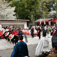 満開の桜の下、豊作祈る　香取神宮で御田植祭　小中学生が舞披露