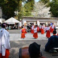 香取神宮で始まった伝統行事「御田植祭」で田舞を披露する地元小中学生＝５日、香取市