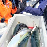 鹿島沖で釣り上げたワラサ（写真は「幸栄丸」提供）
