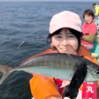 木更津、川崎アジ好釣　横浜カサゴ狙える　【今週の釣果】