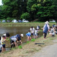 お米に注目「まず作り方知ろう」　千葉市で家族田植え体験会　農家の苦労を実感