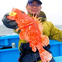 館山オニカサゴ好釣、木更津アジ食い活発　【今週の釣果】