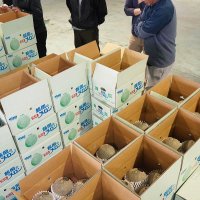 集出荷施設でメロンを囲む飯岡メロン部会の生産者ら＝３０日、旭市