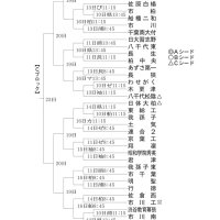 Ｃブロック見どころ　再び聖地狙う黎明　第１０７回全国高校野球　千葉大会