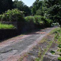 千葉県東部に点在「限界分譲地」とは　目立つ空き地、「土地神話」背景　想定外、都市部の人に反響　文筆業兼ユーチューバー吉川祐介さん＝横芝光在住＝