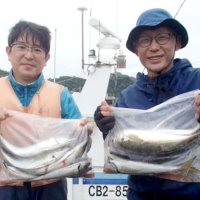 保田大型アジ食い順調　千葉マダコ狙える　【今週の釣果】
