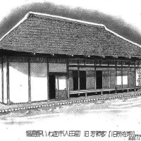 百日草の群生した庭　仲夏の民家　絵・文　道塚元嘉　【民家の四季】