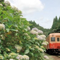 「のだっぽり」景観、次代へ　市原・月崎小湊鉄道沿線　初公募の参加者ら草刈り