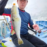 鹿島沖でゲットしたショウサイフグ（写真は「幸栄丸」提供）