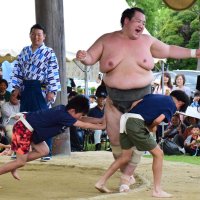 相撲体験で力士に挑戦する子どもたち＝２１日、茂原市
