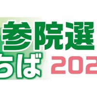 候補者アンケート　Ｑ１消費税の在り方　【参院選ちば２０２５】