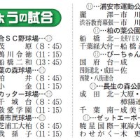 夏の熱戦１０日から　９球場で１回戦１９試合　第１０７回全国高校野球　千葉大会