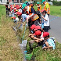 ザリガニ釣れたよ　豊かな自然や生態学ぶ　大網小　