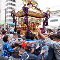 「オリャ、オリャ」大神輿練る　木更津・八剱八幡神社例祭