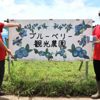 学生観光農園１９日開園　東金・千葉県立農業大学校ブルーベリー販売