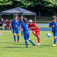 ８チーム決勝Ｔへ　第３０回フジノ杯争奪ジュニアサッカー選手権大会