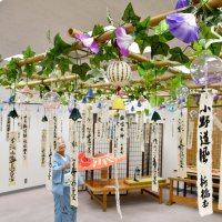 色とりどり、夏彩る　張子とコラボも　香取「風鈴まつり」