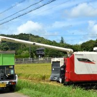 刈り取った「五百川」を軽トラックに移すコンバイン＝１９日、いすみ市