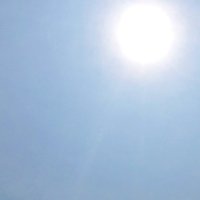【速報】熱中症か７０代女性死亡　「高齢女性が倒れている」通行人が通報　習志野