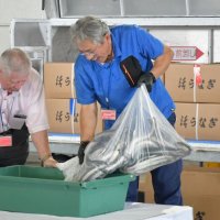 成田空港に到着したウナギをおけに出して確認する丸勝の西勝社長（左）ら＝１６日、成田市