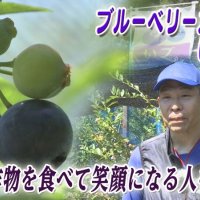 笑顔を育むブルーベリー園　元小学校教諭の新たな挑戦　気になるあの記事を「ツイセキ！！」　千葉日報×Ｊ：ＣＯＭコラボ第２３弾