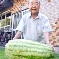 家庭菜園２５年、初の“大物”　「孫たちの反応楽しみ」　３０キロスイカ育てた宮本さん　香取