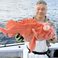 大原メヌケ本命登場　木更津カサゴ狙える　【今週の釣果】
