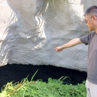 官軍塚はレーダー基地　深い入り江に無類の格納壕　海軍部隊の要塞　勝浦　【戦後８０年ちば　記憶宿る地を訪ねて】（６）