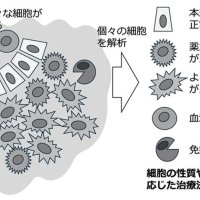 複雑解析も効率よく　個々の細胞を調べる技術　検証進め医学発展貢献　千葉県がんセンター研究所細胞治療開発研究部長　河津正人　【９月はがん征圧月間　ちば　がんにうち克つ】（１４）