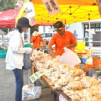 生産日本一、味もＰＲ　旬到来、試食や即売会　八街「落花生まつり」
