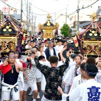 ６年ぶりに合同渡御　神輿４基、威勢良く　茂原