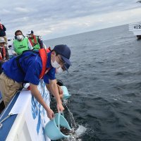 水産３高校、遠隔地からも生徒募る　銚子商、館山総合、大原　千葉県内受験生対象に初導入　来春県立高入試から