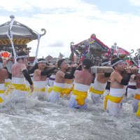 荒海の中、威勢良く神輿を担ぐ大原はだか祭りの男衆たち＝２３日、いすみ市