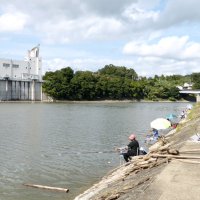 ヘラブナ釣り桂田さん初Ｖ　前回釣果ゼロ、今年はヒット　市原・高滝湖で大会