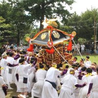 【動画あり】「やわたんまち」勇壮に　千年続く大祭激しい「もみ」「さし」歓声　館山
