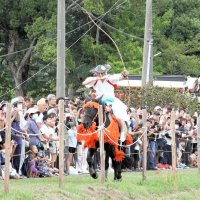 大勢の住民らが見守る中、疾走する馬に騎乗し弓矢で的を狙う禰宜＝２８日、鴨川市
