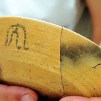 墨書土器など１５８点文化財に　袖ケ浦市郷土博に展示　永吉台遺跡群の出土物