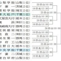 高校野球秋季関東大会　組み合わせ