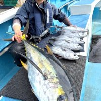 相模湾マグロカツオ食い良し　川崎アジ、ダブル多数　【今週の釣果】