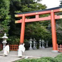 １００年ぶり大鳥居一新　香取神宮　壮麗、優美な“玄関口”に　式年神幸祭控え整備