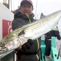 木更津沖で釣り上げたサワラ（写真は「守山丸」提供）