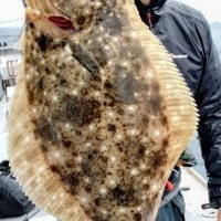 太東沖で釣り上げたヒラメ（写真は「第１二三丸」提供）