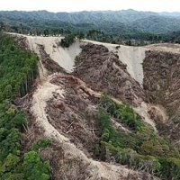 【詳報】鴨川メガソーラー、未許可の森林で伐採　工事の一時停止を公表　熊谷知事も現地視察の意向