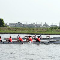 息合わせオール、一体感　香取市民レガッタ　記者が初体験レポ　全国へあと一歩「努力賞」輝く　黒部川の絶景楽しみ猛練習　【ちば特　千葉日報特報部】