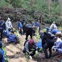 被災の森復活へ　君津で１３０人植樹　６０周年のＡＬＳＯＫ