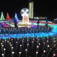 色とりどりに輝く幻想的な光の世界＝富津市
